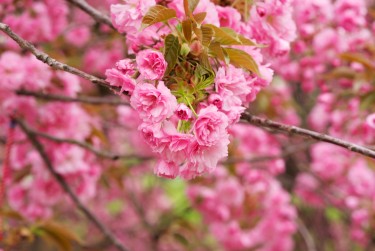 绍兴上虞区线下个人借款平台一站式服务，轻松解决资金难题