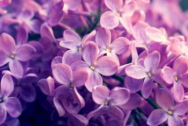 绍兴上虞区企业急用钱贷款攻略：快速融资解燃眉之急